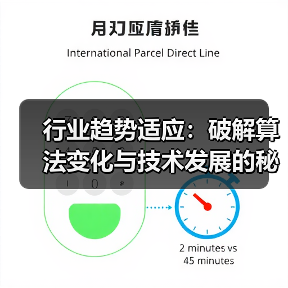 行业趋势适应：破解算法变化与技术发展的秘密武器（图2）