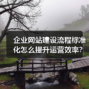 企业网站建设流程标准化怎么提升运营效率?(图2) 企业网站建设流程标准化怎么提升运营效率?(图2)