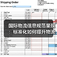 国际物流信息规范呈现：标准化如何提升物流效率？