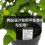 网站设计如何平衡美观与实用？（图2）