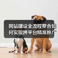 网站建设全流程整合如何实现跨平台精准推广？（图4）