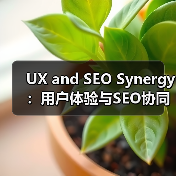 UX and SEO Synergy：用户体验与SEO协同的秘密武器