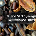 UX and SEO Synergy：用户体验与SEO协同的秘密武器（图2）