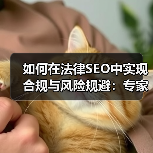 如何在法律SEO中实现合规与风险规避：专家必读指南（图4）