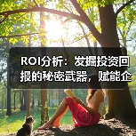 ROI分析：发掘投资回报的秘密武器，赋能企业价值证明（图4）