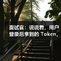 面试官：说说看，用户登录后拿到的 Token，你应该怎么存？存哪里？