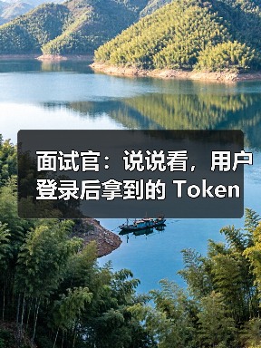 面试官：说说看，用户登录后拿到的 Token，你应该怎么存？存哪里？（图4）