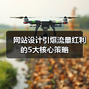 网站设计引爆流量红利的5大核心策略（图3）
