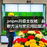 pnpm升级全攻略：最新方法与常见问题解决