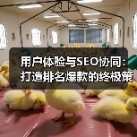 用户体验与SEO协同：打造排名爆款的终极策略