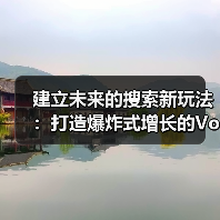建立未来的搜索新玩法：打造爆炸式增长的Voice Search Strategy