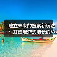 建立未来的搜索新玩法：打造爆炸式增长的Voice Search Strategy（图3）
