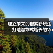 建立未来的搜索新玩法：打造爆炸式增长的Voice Search Strategy（图4）