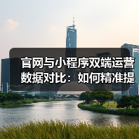 官网与小程序双端运营数据对比：如何精准提升转化效率？（图4）