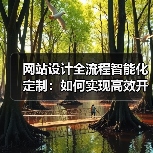 网站设计全流程智能化定制：如何实现高效开发与优化运营？（图2）