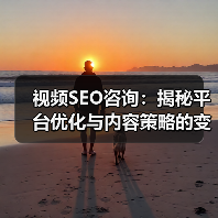 视频SEO咨询：揭秘平台优化与内容策略的变革之道（图4）