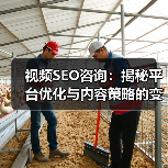 视频SEO咨询：揭秘平台优化与内容策略的变革之道（图2）