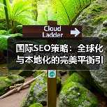 国际SEO策略：全球化与本地化的完美平衡引领未来（图3）