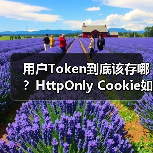 用户Token到底该存哪？HttpOnly Cookie如何更安全？（图3）