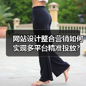 网站设计整合营销如何实现多平台精准投放？（图2）