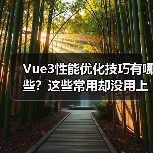 Vue3性能优化技巧有哪些？这些常用却没用上！（图4）