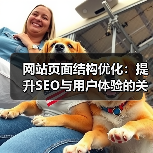 网站页面结构优化：提升SEO与用户体验的关键路径（图4）