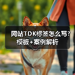 网站TDK标签怎么写？模板+案例解析（图4）