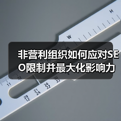 非营利组织如何应对SEO限制并最大化影响力