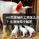 H5页面制作工具怎么选？实用推荐全解析