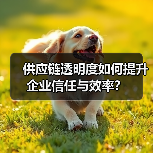 供应链透明度如何提升企业信任与效率？（图3）