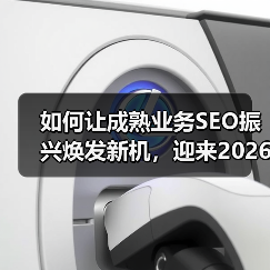 如何让成熟业务SEO振兴焕发新机，迎来2026年增长奇迹（图4）