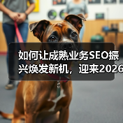 如何让成熟业务SEO振兴焕发新机，迎来2026年增长奇迹（图3）