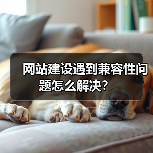 网站建设遇到兼容性问题怎么解决？（图2）