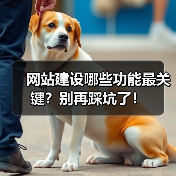 网站建设哪些功能最关键？别再踩坑了！（图2）