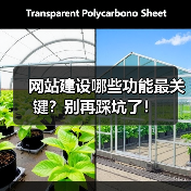 网站建设哪些功能最关键？别再踩坑了！（图3）