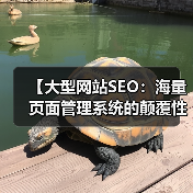 【大型网站SEO：海量页面管理系统的颠覆性策略】