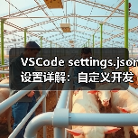 VSCode settings.json设置详解：自定义开发环境全攻略