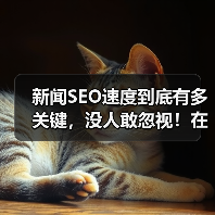 新闻SEO速度到底有多关键，没人敢忽视！在这个信息爆炸的时代，搜索引擎对内容的“即时性”要求越来越高。你提交的新闻，瞬间被“快速索引”，才能抢占搜索第一位，赢得（图3）