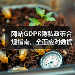 网站GDPR隐私政策合规指南，全面应对数据保护要求（图3）