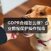 GDPR合规怎么做？企业数据保护操作指南（图4）