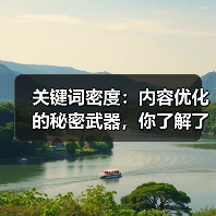 关键词密度：内容优化的秘密武器，你了解了吗？（图4）