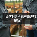 如何制定全球市场适配策略？（图2）