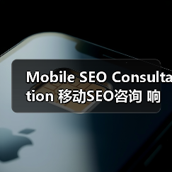 Mobile SEO Consultation 移动SEO咨询 响应式 应用优化（图2）