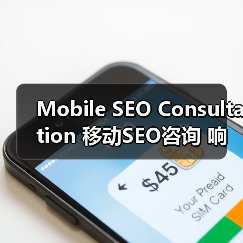 Mobile SEO Consultation 移动SEO咨询 响应式 应用优化（图3）