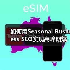 如何用Seasonal Business SEO实现高峰期爆发式增长（图2）