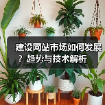 建设网站市场如何发展？趋势与技术解析（图2）