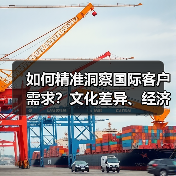 如何精准洞察国际客户需求？文化差异、经济环境深度解析（图3）