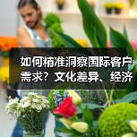 如何精准洞察国际客户需求？文化差异、经济环境深度解析（图2）