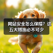 网站安全怎么保障？这五大措施必不可少（图2）