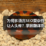 为何多语言SEO复杂性让人头疼?掌握翻译质量与本地化的秘密,轻松打通全球市场(图1) 为何多语言SEO复杂性让人头疼?掌握翻译质量与本地化的秘密,轻松打通全球市场(图1)